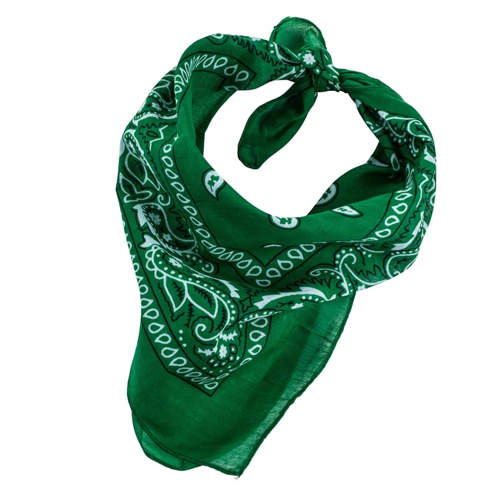 Amazon.com: CoverYourHair Paisley Bandanas - Pack of 6-100